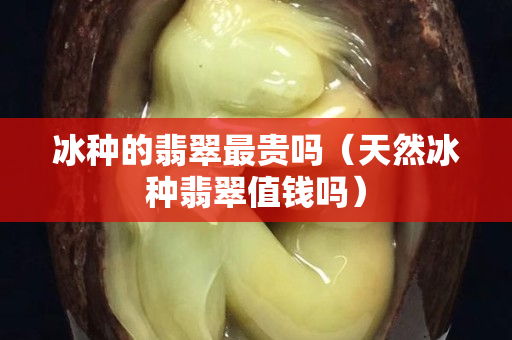冰種的翡翠最貴嗎（天然冰種翡翠值錢嗎）