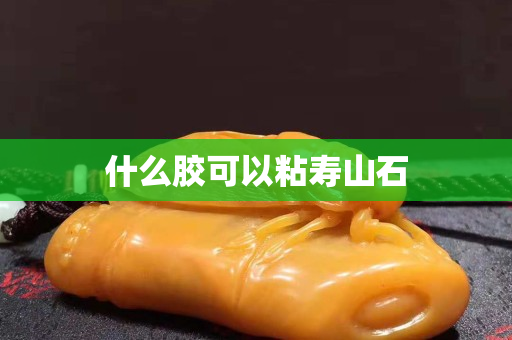 什么膠可以粘壽山石