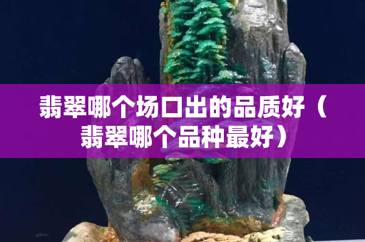 翡翠哪個場口出的品質好（翡翠哪個品種最好）