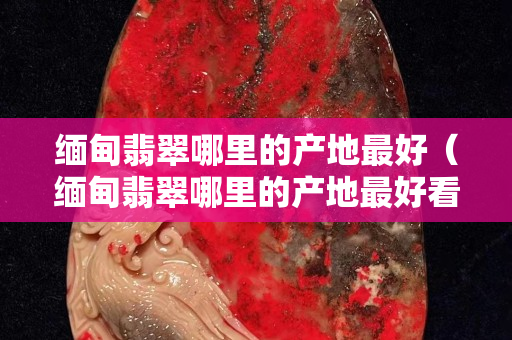 緬甸翡翠哪里的產地最好（緬甸翡翠哪里的產地最好看）