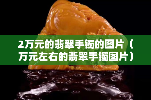 2萬(wàn)元的翡翠手鐲的圖片（萬(wàn)元左右的翡翠手鐲圖片）