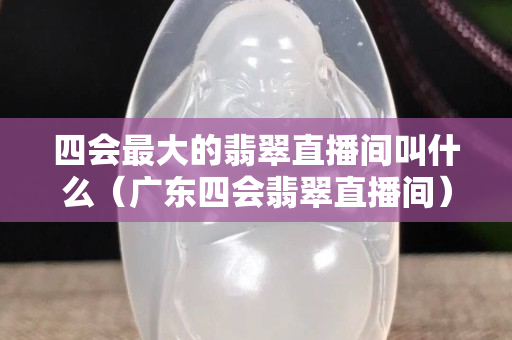 四會最大的翡翠直播間叫什么（廣東四會翡翠直播間）