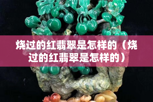 燒過的紅翡翠是怎樣的（燒過的紅翡翠是怎樣的）
