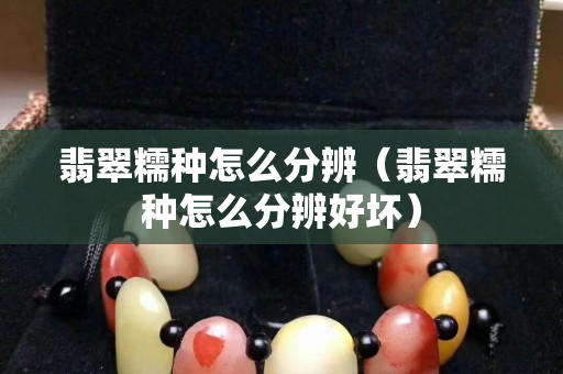 翡翠糯種怎么分辨（翡翠糯種怎么分辨好壞）