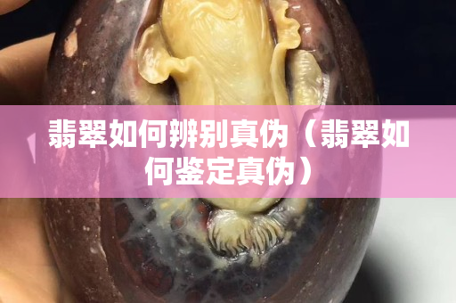 翡翠如何辨別真偽（翡翠如何鑒定真偽）