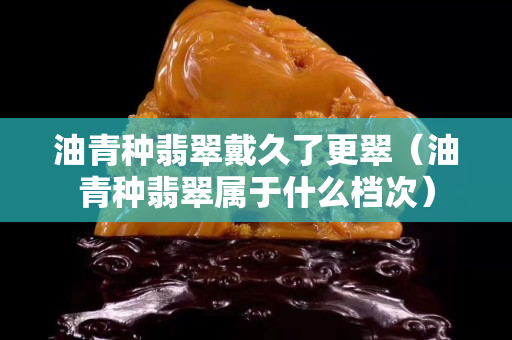 油青種翡翠戴久了更翠（油青種翡翠屬于什么檔次）