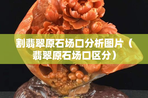 割翡翠原石場口分析圖片（翡翠原石場口區(qū)分）