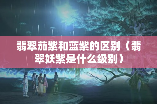 翡翠茄紫和藍紫的區別（翡翠妖紫是什么級別）
