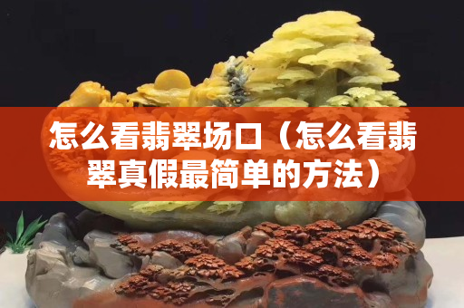 怎么看翡翠場(chǎng)口（怎么看翡翠真假最簡(jiǎn)單的方法）