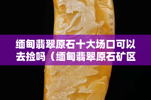 緬甸翡翠原石十大場口可以去撿嗎（緬甸翡翠原石礦區的十大名坑）