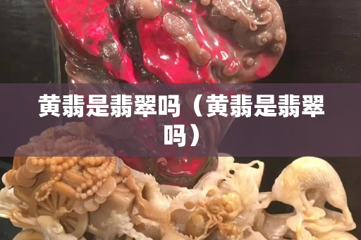 黃翡是翡翠嗎（黃翡是翡翠嗎）