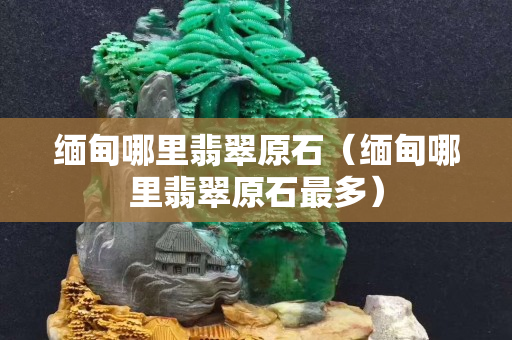 緬甸哪里翡翠原石（緬甸哪里翡翠原石最多）