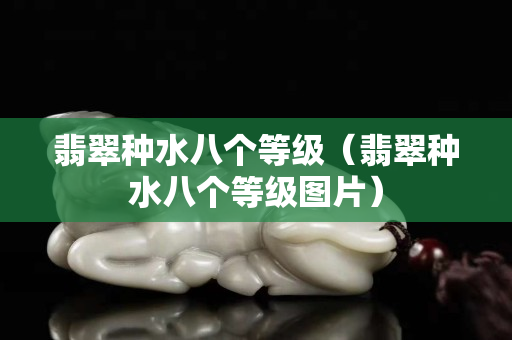 翡翠種水八個等級（翡翠種水八個等級圖片）