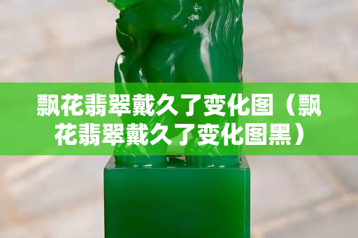 飄花翡翠戴久了變化圖（飄花翡翠戴久了變化圖黑）