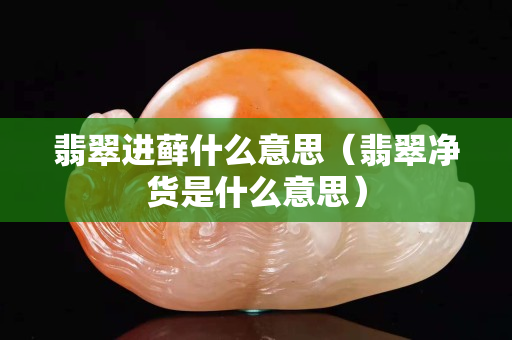 翡翠進蘚什么意思（翡翠凈貨是什么意思）