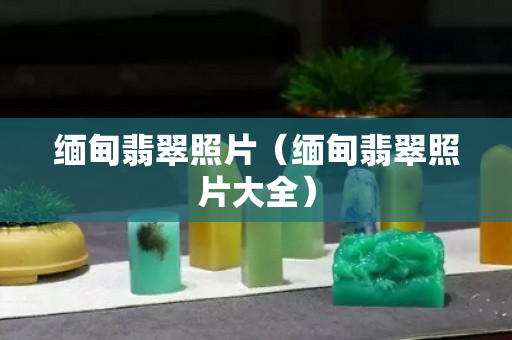緬甸翡翠照片（緬甸翡翠照片大全）