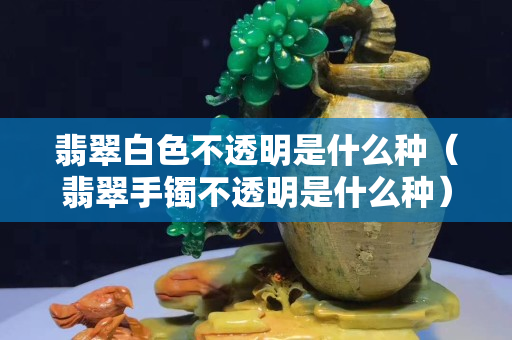 翡翠白色不透明是什么種（翡翠手鐲不透明是什么種）