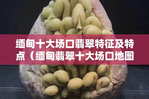 緬甸十大場口翡翠特征及特點（緬甸翡翠十大場口地圖）