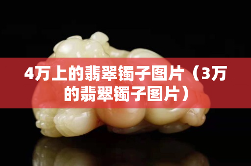 4萬上的翡翠鐲子圖片（3萬的翡翠鐲子圖片）