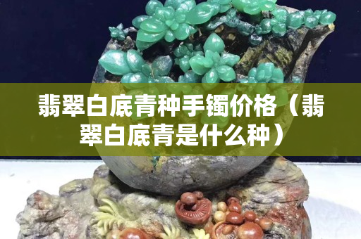 翡翠白底青種手鐲價格（翡翠白底青是什么種）