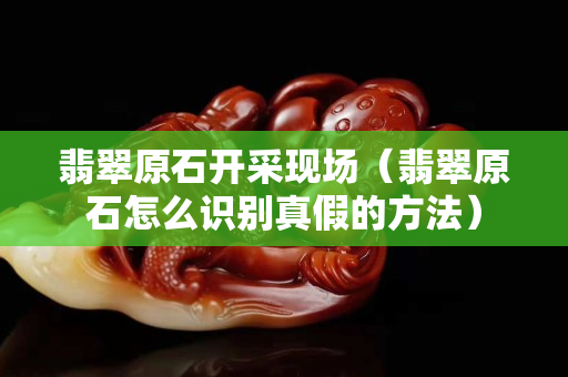 翡翠原石開采現場（翡翠原石怎么識別真假的方法）