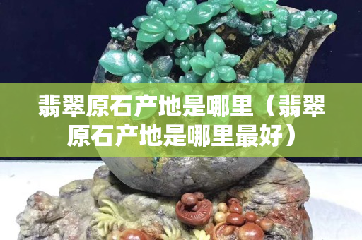 翡翠原石產地是哪里（翡翠原石產地是哪里最好）