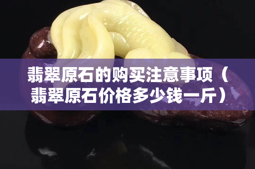 翡翠原石的購買注意事項（翡翠原石價格多少錢一斤）