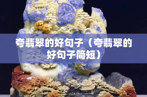 夸翡翠的好句子（夸翡翠的好句子簡短）