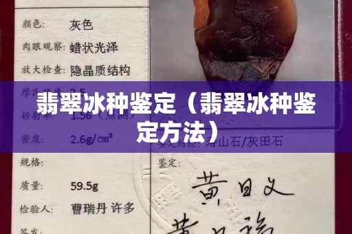 翡翠冰種鑒定（翡翠冰種鑒定方法）