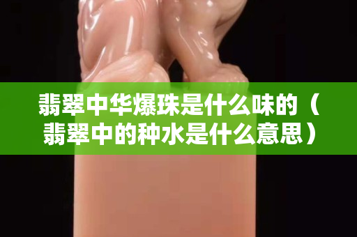 翡翠中華爆珠是什么味的（翡翠中的種水是什么意思）