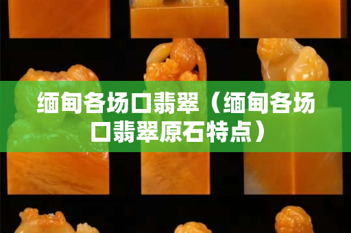 緬甸各場口翡翠（緬甸各場口翡翠原石特點）