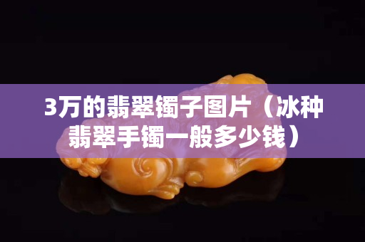 3萬的翡翠鐲子圖片（冰種翡翠手鐲一般多少錢）