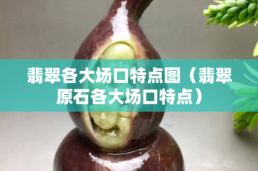 翡翠各大場口特點圖（翡翠原石各大場口特點）
