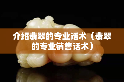 介紹翡翠的專業話術（翡翠的專業銷售話術）