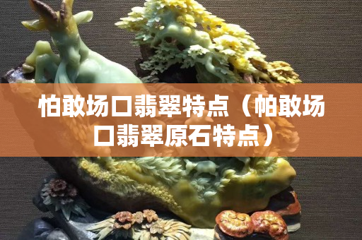 怕敢場口翡翠特點（帕敢場口翡翠原石特點）