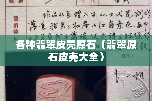 各種翡翠皮殼原石（翡翠原石皮殼大全）