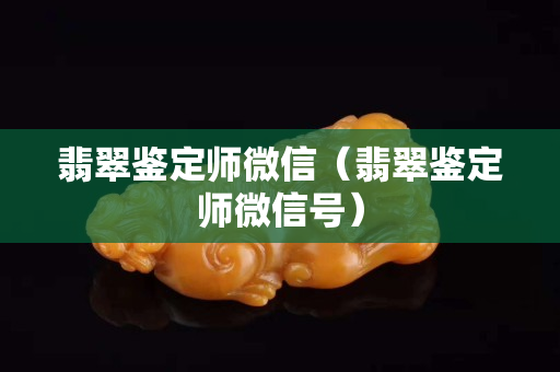 翡翠鑒定師微信（翡翠鑒定師微信號）