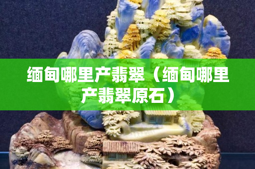 緬甸哪里產翡翠（緬甸哪里產翡翠原石）