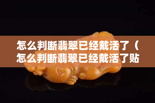 怎么判斷翡翠已經戴活了（怎么判斷翡翠已經戴活了貼吧）