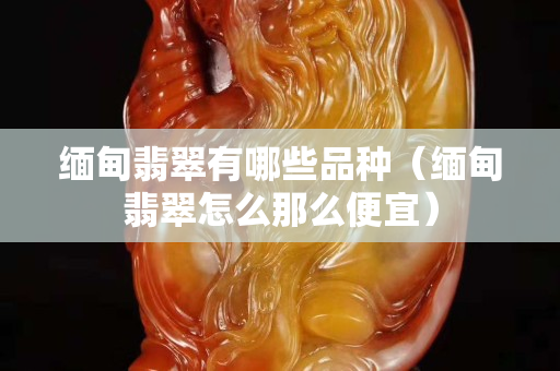 緬甸翡翠有哪些品種（緬甸翡翠怎么那么便宜）
