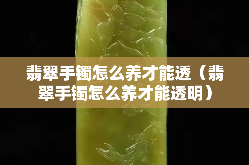 翡翠手鐲怎么養才能透（翡翠手鐲怎么養才能透明）