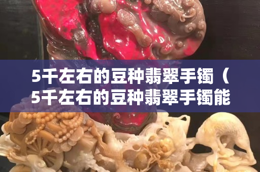 5千左右的豆種翡翠手鐲（5千左右的豆種翡翠手鐲能買嗎）