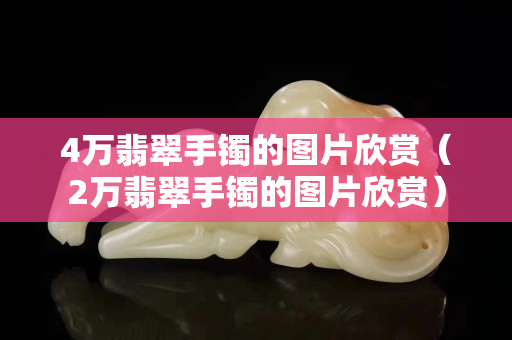 4萬翡翠手鐲的圖片欣賞（2萬翡翠手鐲的圖片欣賞）