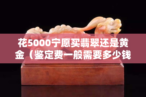 花5000寧愿買翡翠還是黃金（鑒定費一般需要多少錢）