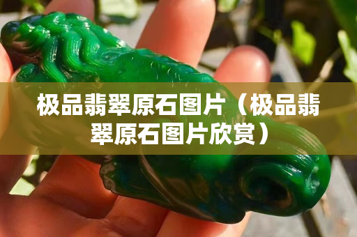極品翡翠原石圖片（極品翡翠原石圖片欣賞）