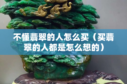 不懂翡翠的人怎么買（買翡翠的人都是怎么想的）