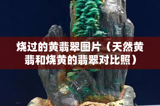 燒過的黃翡翠圖片（天然黃翡和燒黃的翡翠對比照）