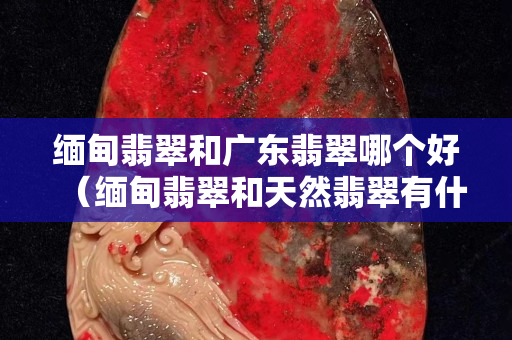 緬甸翡翠和廣東翡翠哪個(gè)好（緬甸翡翠和天然翡翠有什么區(qū)別）