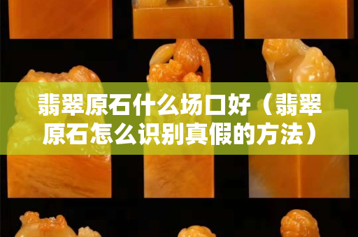 翡翠原石什么場口好（翡翠原石怎么識別真假的方法）