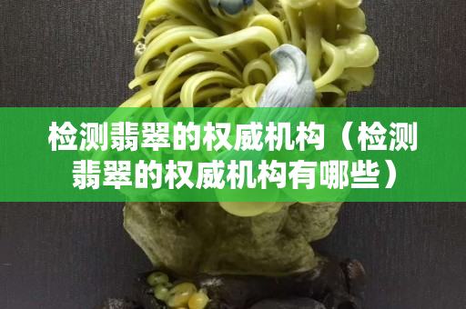 檢測(cè)翡翠的權(quán)威機(jī)構(gòu)（檢測(cè)翡翠的權(quán)威機(jī)構(gòu)有哪些）